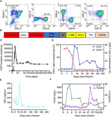 Case report: Differential diagnosis of highly amplified anti-CD5 CAR T cells and relapsed lymphoma cells in a patient with refractory ALK positive anaplastic large cell lymphoma